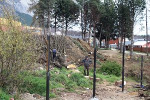 Corta arboles área verde Oriente Poniente con Victoria
